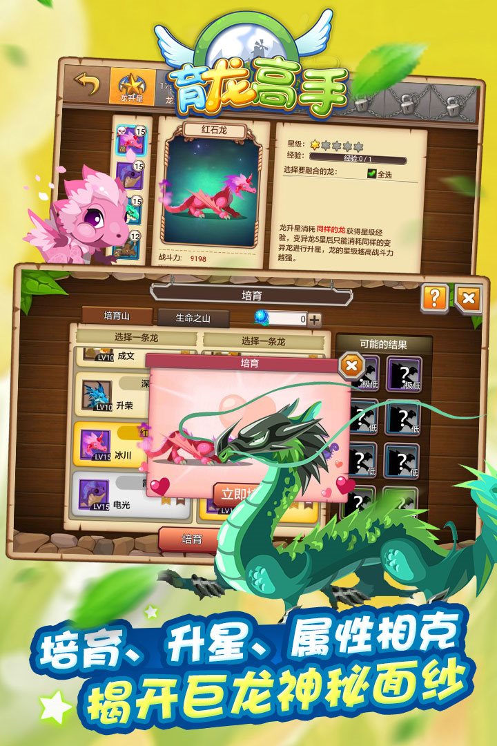 揭开巨龙神秘面纱。