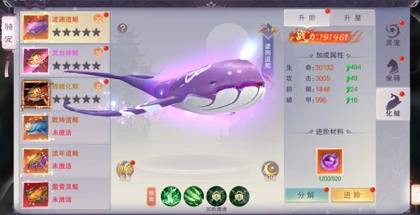 灵宠培养速成指南