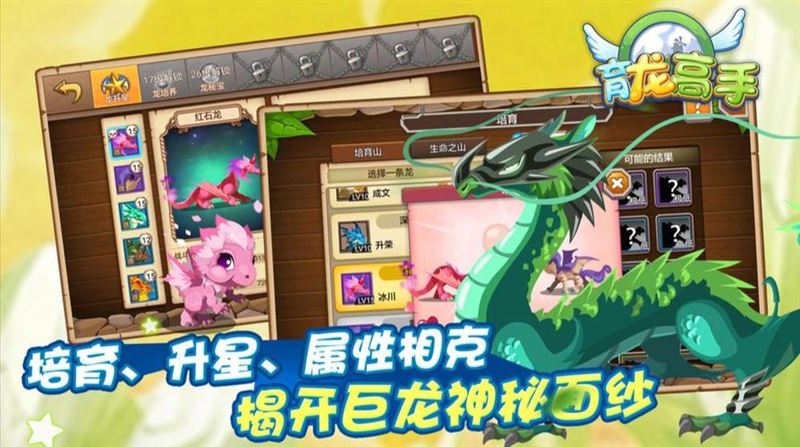百种神龙