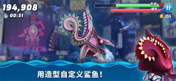 新手避坑指南