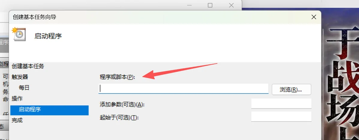 向导的“启动程序”页面