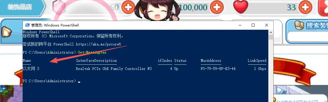 管理员 PowerShell 中执行 Get-NetAdapter 的输出