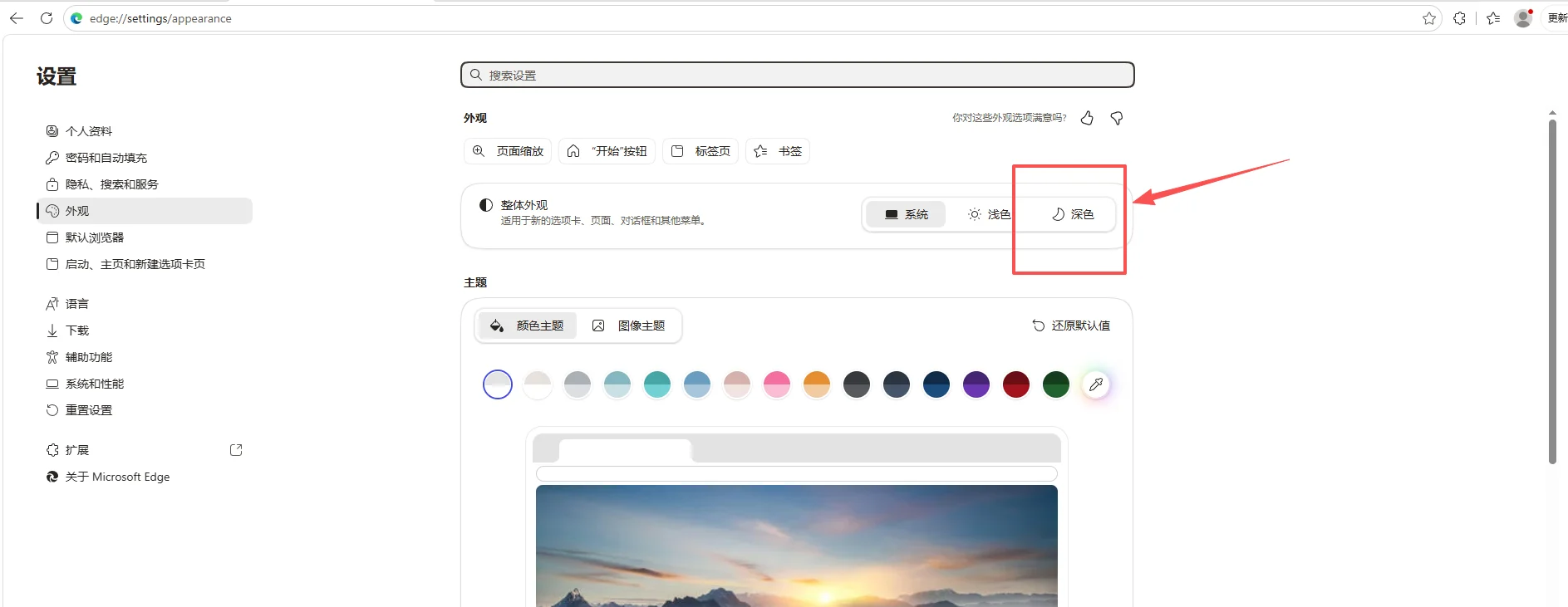 Edge 浏览器“设置 > 外观”页面