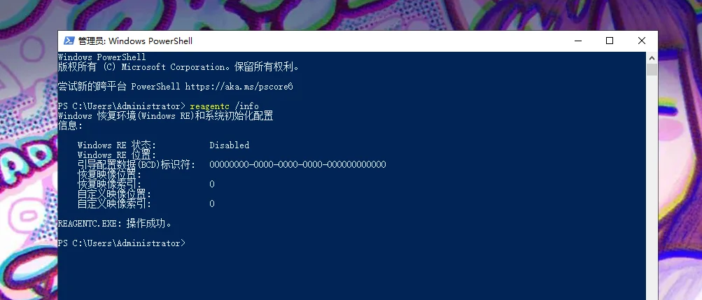 管理员命令提示符里 reagentc /info 的输出结果