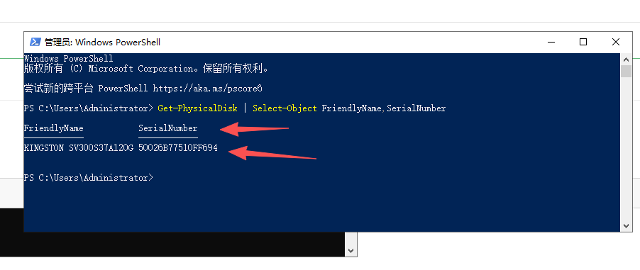 PowerShell 中运行 Get-PhysicalDisk 命令后的硬盘列表