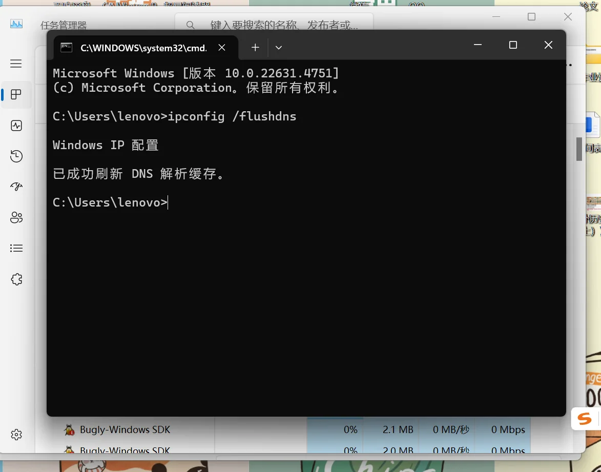 Windows 命令提示符中执行 ipconfig /flushdns 后的输出界面