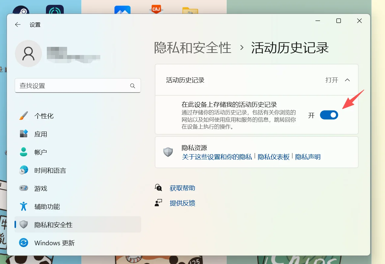 Windows 11 设置 → 隐私和安全性 → 活动历史记录页面