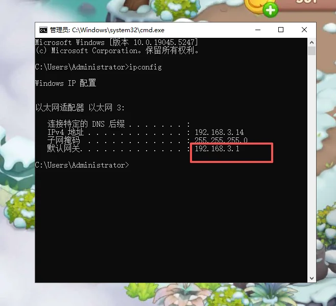 Windows 命令提示符中执行 ipconfig 后的输出